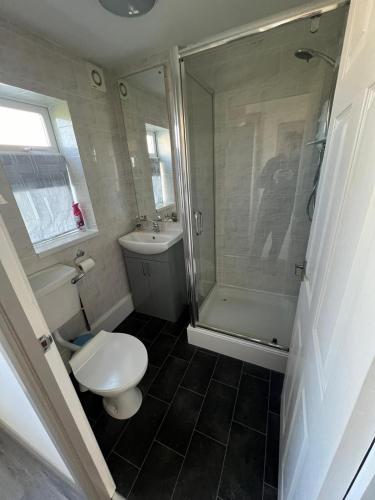 a bathroom with a shower and a toilet and a sink at Saltwater Chalet in Kessingland