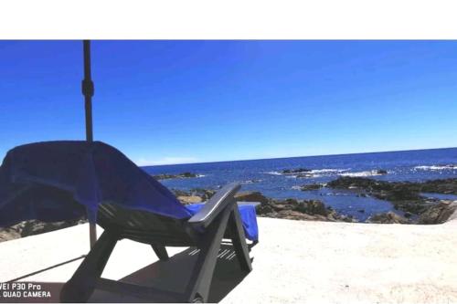 Pieds dans l'eau - La Villa Crique aux tortues