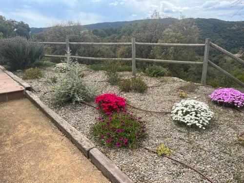 un jardín con flores en el suelo junto a una valla en Villa Vista Bonita with private pool, 4 bedrooms, 9 people, en Calonge