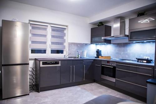 a kitchen with gray cabinets and stainless steel appliances at Natur und Stadt, neben Mannheim, Heidelberg, Worms in Lampertheim