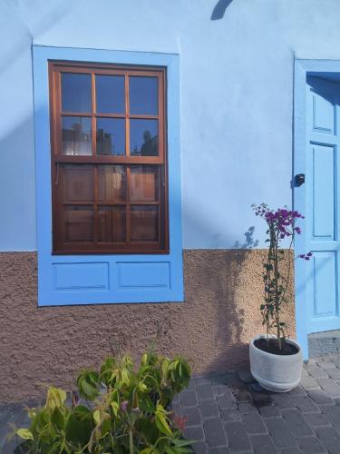 a house with a blue door and a potted plant at CasaDeVita in Tazacorte