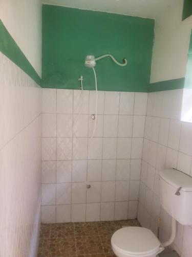 a bathroom with a toilet and a green wall at Gaia Eco Hub BnB in Fort Portal