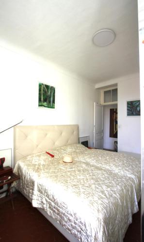 APPARTEMENT NICE le PORT