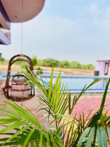 a plant in front of a swimming pool at Roshan Resorts in Bhopal