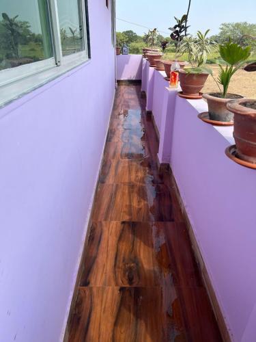 a long line of potted plants on a wall at Roshan Resort in Bhopal