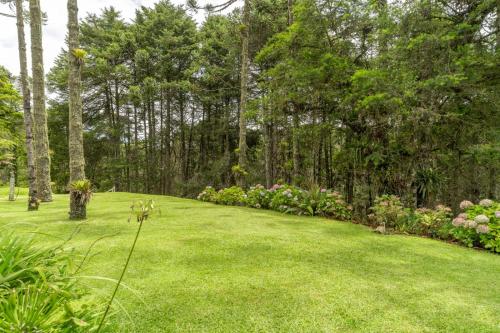a yard with green grass and flowers and trees at Aventoriba Lodge in Campos do Jordão