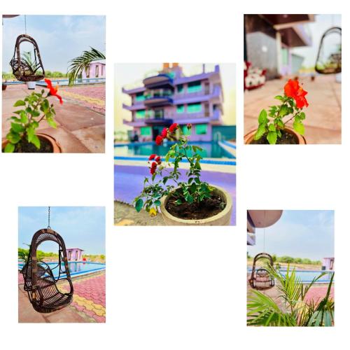 a group of four pictures of flowers in a basket at Roshan Resort in Bhopal