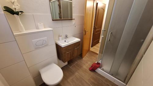 ein Bad mit einem WC, einem Waschbecken und einer Dusche in der Unterkunft Hotel Kulturhaus Felgeleben in Schönebeck