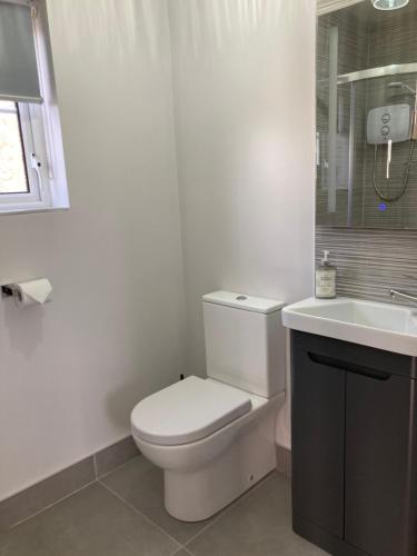 a white bathroom with a toilet and a sink at Binnian Gateway in Ballymartin