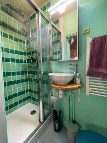 une salle de bain avec un lavabo et une douche dans l'établissement Charmant 2 pièces Paris Montmartre, à Paris