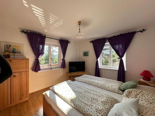 a bedroom with two beds and a tv and windows at Ferienhaus im Wald in Edelschrott