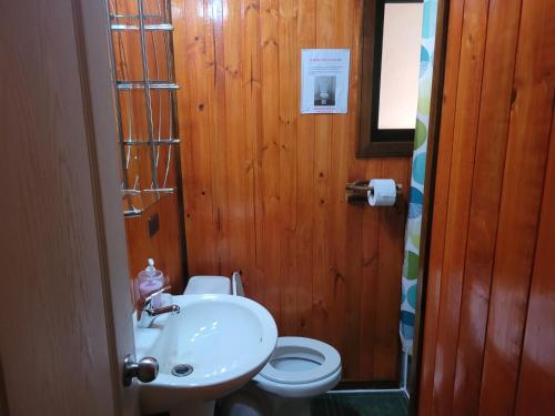 a bathroom with a sink and a toilet at Cabañas Buen Recuerdo in Puyehue