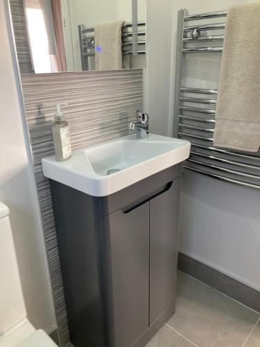 ein Bad mit einem Waschbecken und einem Spiegel in der Unterkunft Binnian Gateway in Ballymartin