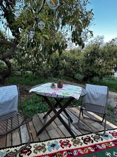 - une table de pique-nique et 2 chaises sur une terrasse en bois dans l'établissement Yurt in Avocado garden, à Güimar