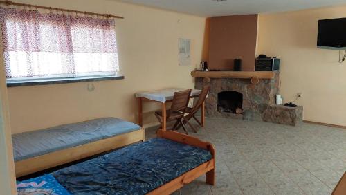 Zimmer mit 2 Betten und einem Kamin in der Unterkunft Domek w pięknej okolicy 