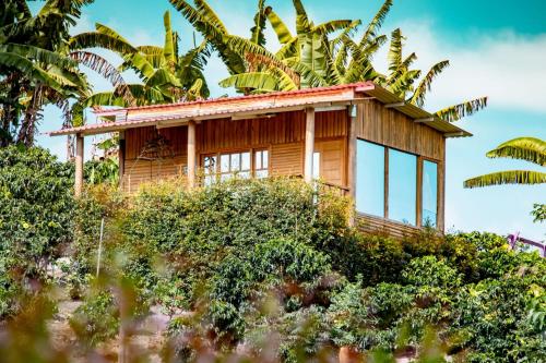 a house on top of a hill with trees at Finca Saabu in Isnos