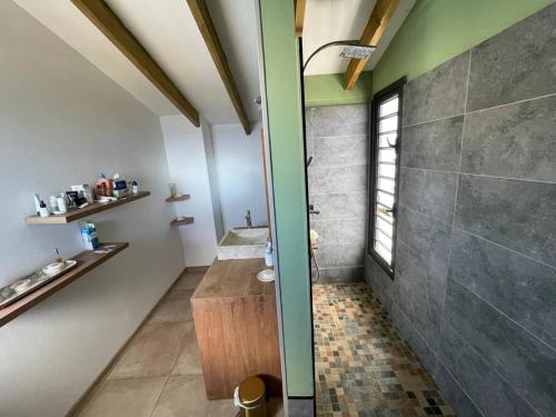 La salle de bains est pourvue d'une douche, d'un lavabo et de toilettes. dans l'établissement La Kaz À Bonér !, à Saint-Leu
