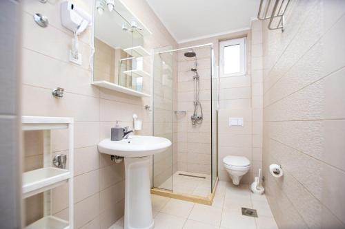a bathroom with a sink and a shower and a toilet at Apartments AriaSana in Dobra Voda