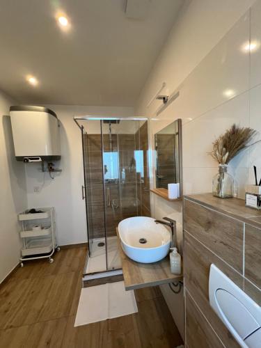 uma casa de banho com um lavatório e um chuveiro em RK Apartment Holzova em Brno
