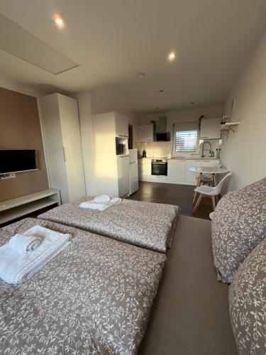 a hotel room with two beds and a kitchen at RK Apartment Holzova in Brno
