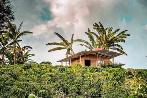 una pequeña casa en una colina con palmeras en Finca Saabu, en Isnos