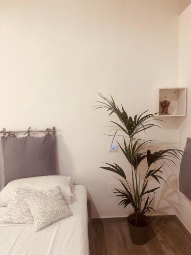 a bedroom with a bed and a potted plant at Corte Perugia in Matino