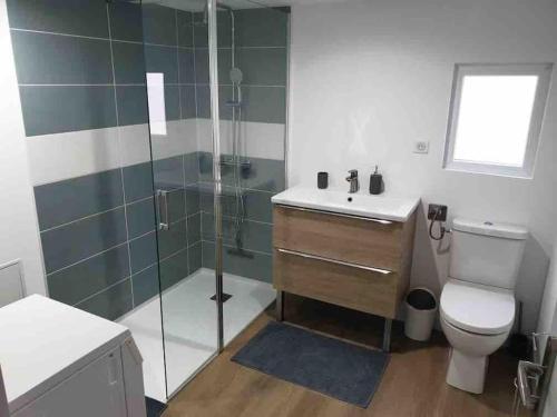 a bathroom with a shower and a toilet and a sink at Gîte au bord du loing et proche forêt in Écuelles