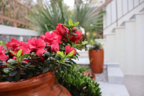 un jarrón lleno de flores rojas en una escalera en Casa Das Chães, en Caniçada