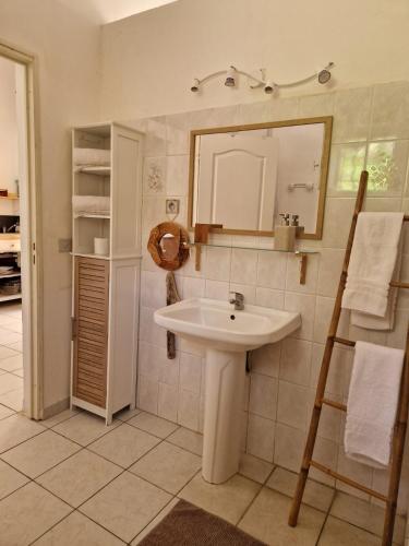 a bathroom with a sink and a mirror at gîtes THO KOBA in Saint-Claude