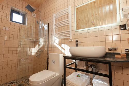 a bathroom with a toilet and a sink and a shower at Reserve Resort Lagodekhi in Lagodekhi