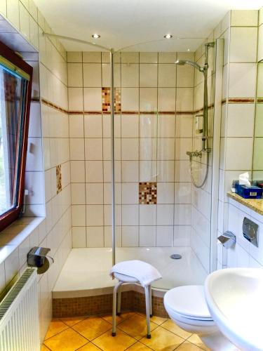 a bathroom with a shower and a toilet and a sink at Dornröschen in Höchst im Odenwald