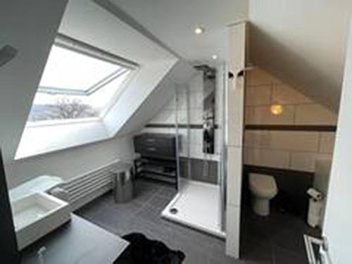 La salle de bains est pourvue d'une fenêtre, d'un lavabo et de toilettes. dans l'établissement Apartment See-Sicht, à Öhningen