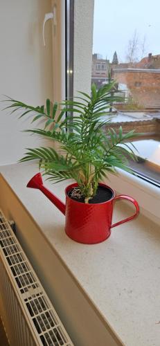 a plant in a red pot sitting on a window sill at Poppies Flats in Ypres