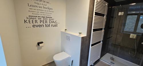 a bathroom with a toilet and a shower at Poppies Flats in Ypres