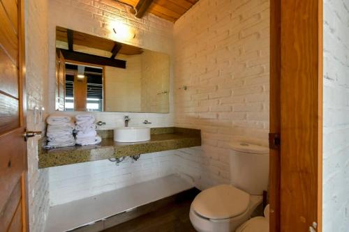 a bathroom with a toilet and a sink and a mirror at Hermosa cabaña de descanso en Tlapalpa in Tapalpa