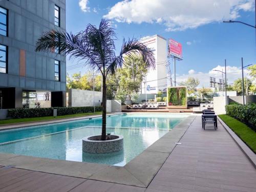 a palm tree sitting next to a swimming pool at Nuevo Dpt l Alberca + Padel l Soumaya 10 min in Mexico City