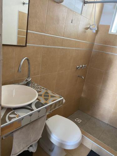パソ・デ・ロス・リブレスにあるLoft 856のバスルーム(トイレ、洗面台、シャワー付)