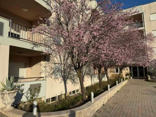 Το κτήριο όπου στεγάζεται  το διαμέρισμα