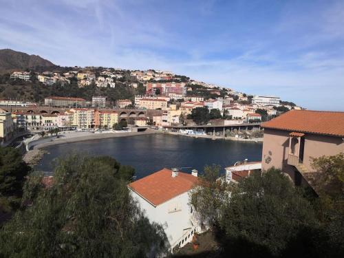 une vue d'une rivière dans une ville avec des bâtiments dans l'établissement Appartement 20m de la plage, à Cerbère
