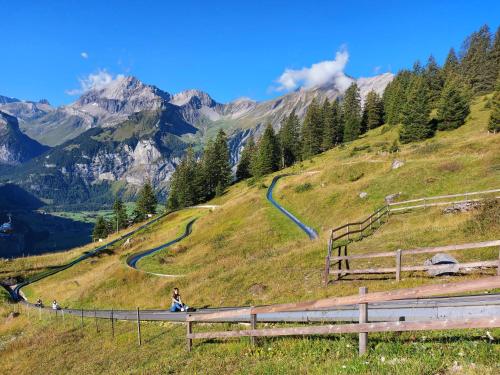 a person riding a bike on a hill with mountains in the background at Apartment Arvenwald in Kandersteg
