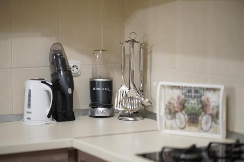 a kitchen counter with a blender and utensils on it at Green Art House in Kovilovo