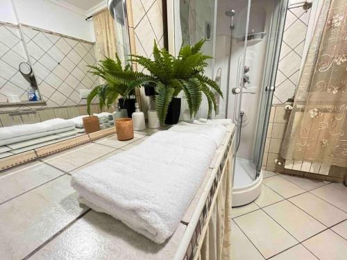 La salle de bains est pourvue d'une douche et d'un tapis blanc. dans l'établissement Casa Vacanza Fiera di Roma, à Ponte Galeria