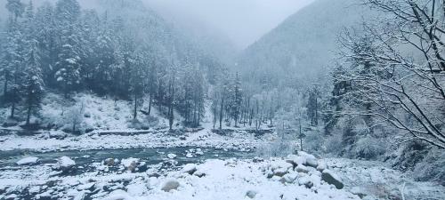einen schneebedeckten Fluss mit Bäumen und einem Berg in der Unterkunft Moksha Woodhouse in Kasol