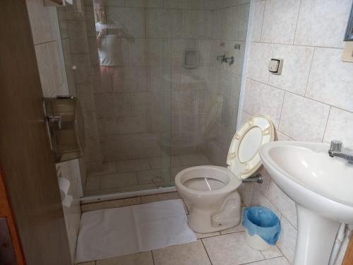 een badkamer met een douche, een toilet en een wastafel bij Espaço Verona apartamento econômico c/banheiro e sem café p/ 1 pessoa in Fazenda Rio Grande