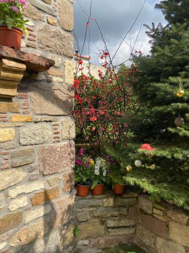 a group of flowers in pots on a stone wall at ''The Stone'' in Agios Vlasios