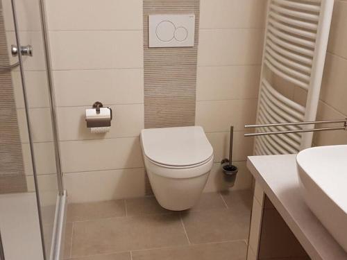 a bathroom with a toilet and a shower and a sink at Holiday home Eckstein in Oy-Mittelberg