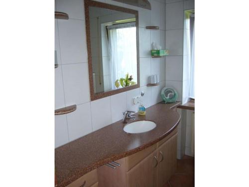 a bathroom with a sink and a mirror at Holiday apartment Hildegard birds in Oberreute
