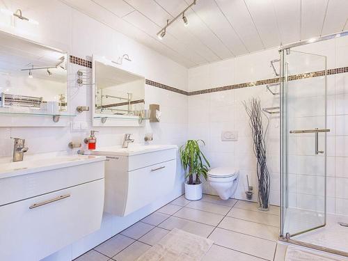 ein Bad mit einer Dusche, einem WC und einem Waschbecken in der Unterkunft Idyll near Limburg Lahn in Hünfelden