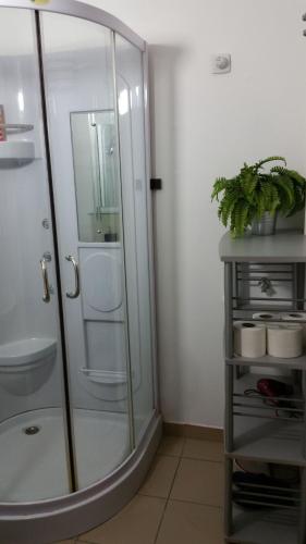 a bathroom with a glass shower with a sink at Goldapartman Salgótarján in Salgótarján