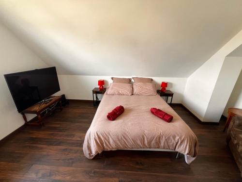 a bedroom with a bed with two red pillows on it at Maison chaleureuse tout confort in Amboise